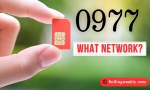 0977 What Network